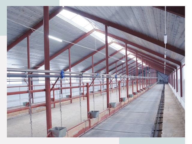 Строительство коровников в Домодедове от 632 руб.