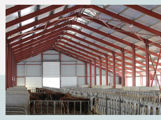 Строительство коровников в Домодедове