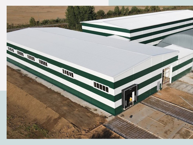 Строительство овощехранилищ в Домодедове