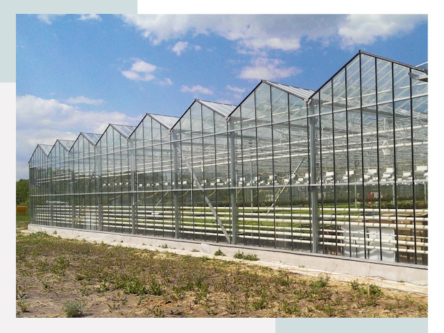 Строительство теплиц в Домодедово от 632 руб. за м²