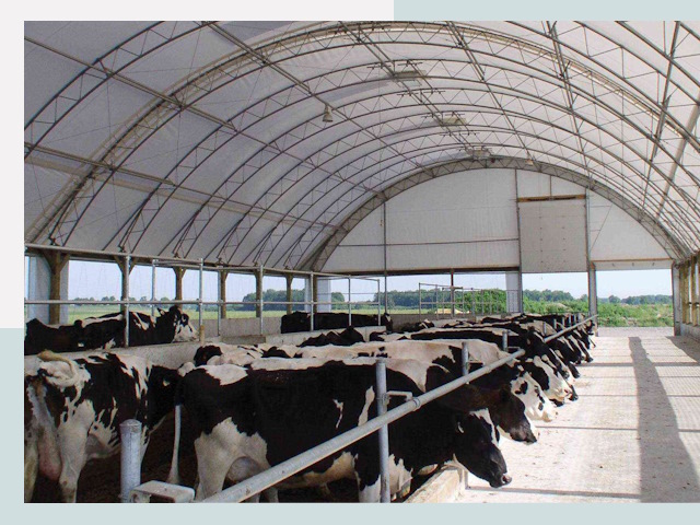 Тентовые коровники в Домодедове